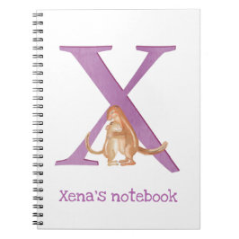 L'animal ABC X est pour le carnet xerus