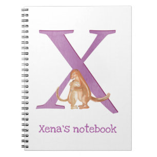 L'animal ABC X est pour le carnet xerus