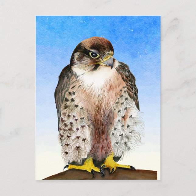 Lanner Falcon Bird Wasserfarbenmalerei Postkarte (Vorderseite)