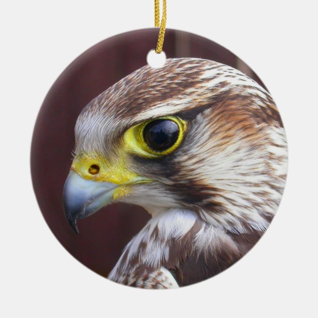 Lanner Falcon Keramikornament (Vorne)