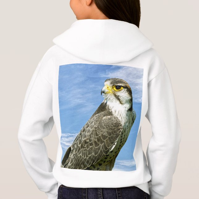 Lanner Falcon perché (Dos)