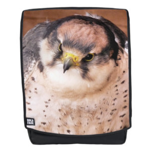 LANNER FALCON RUCKSACK