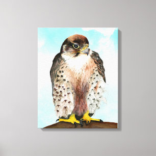 Lanner Falcon Watercolor Malerei Leinwanddruck