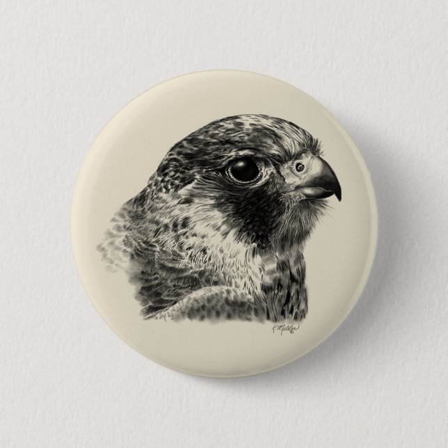 Lanner Falcon Zeichnend Button (Vorderseite)