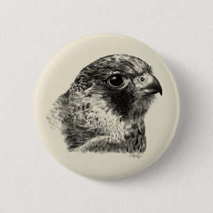 Lanner Falcon Zeichnend Button