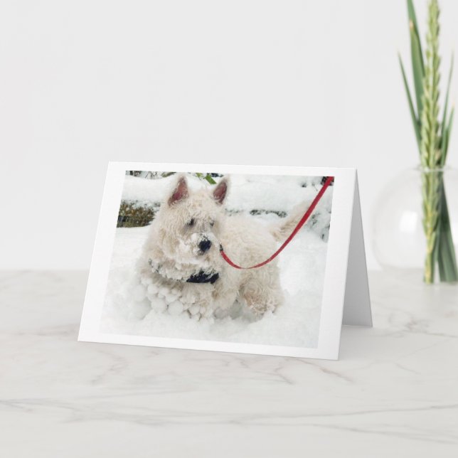 L'anniversaire de carte de voeux de Westie merci (Devant)