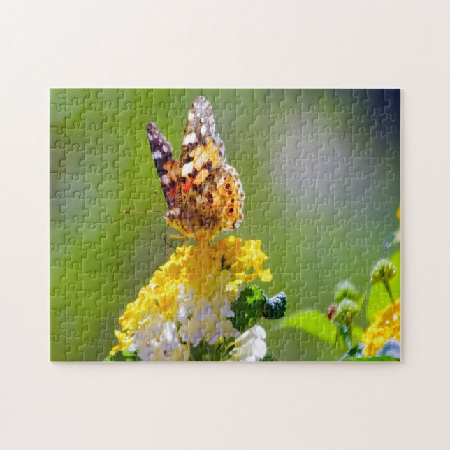 Lantana Butterfly (Horizontal)