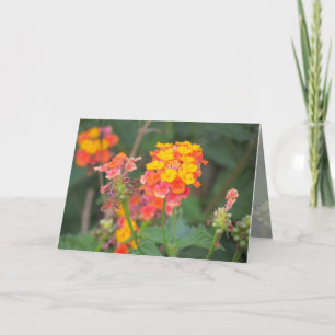 Lantana Grußkarte Karte