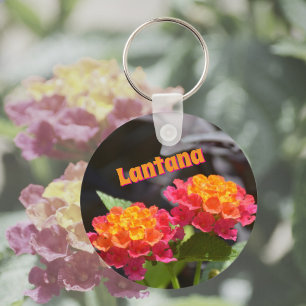 Lantana Leuchtende Farbfreudige Botanische Blumen Schlüsselanhänger