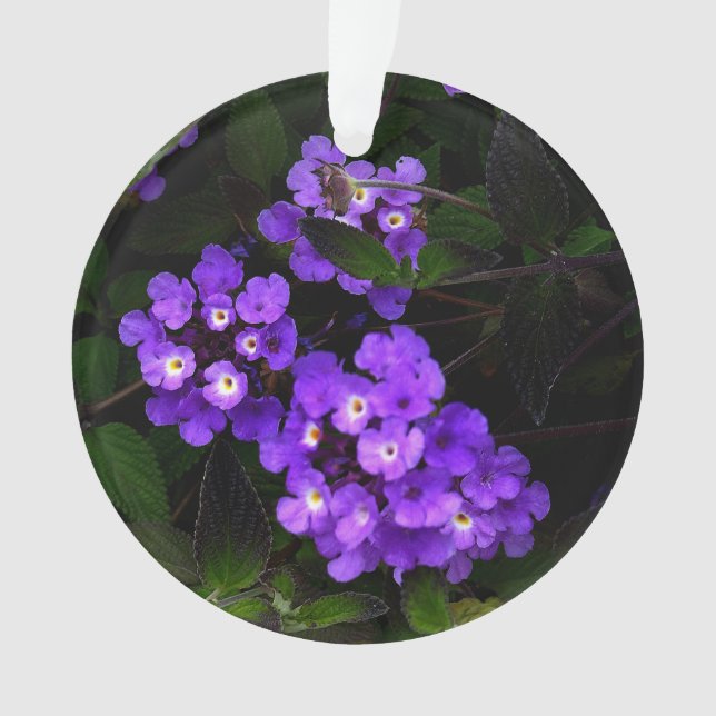 Lantana pourpre Trail #1 Ornament (devant)