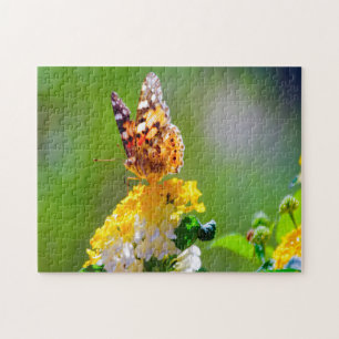 Lantana-Schmetterling