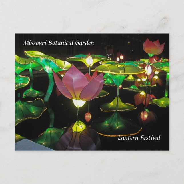 Lantern Festival Postkarte (Vorderseite)