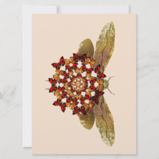 Lantern Fly and Butterfly Mandala Ankündigung