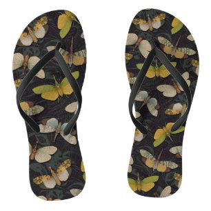 Lanternflies - Pyrops Candelaria und andere Planth Flip Flops