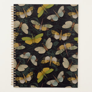 Lanternflies - Pyrops Candelaria und andere Planth Planer