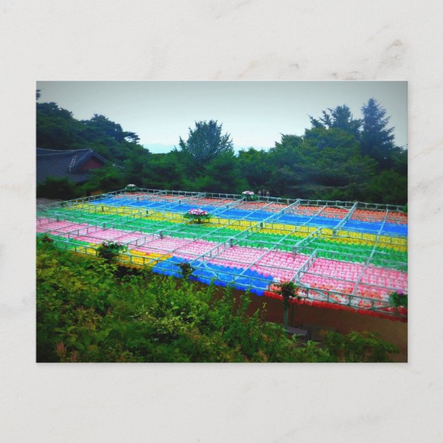 Lanterns at Seokguram Grotto, Südkorea Postkarte (Vorderseite)