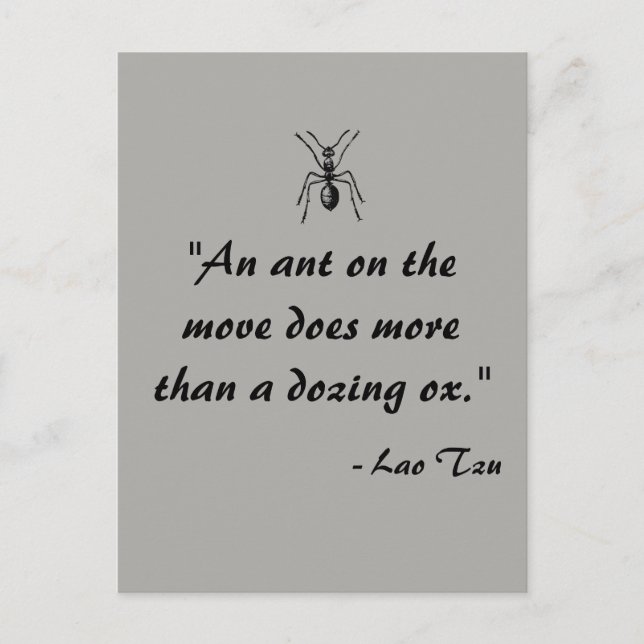 Lao Tzu Ant Citation Carte postale (Devant)