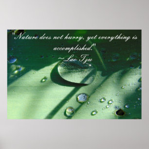 Lao Tzu Natur-Zitat-Plakat Poster