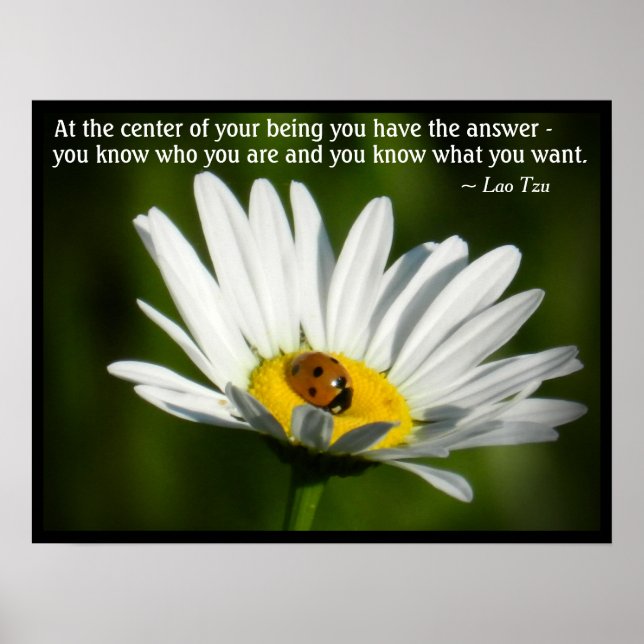 Lao Tzu Quote Ladybug Daisy Inspiration Motivation Poster (Vorne)