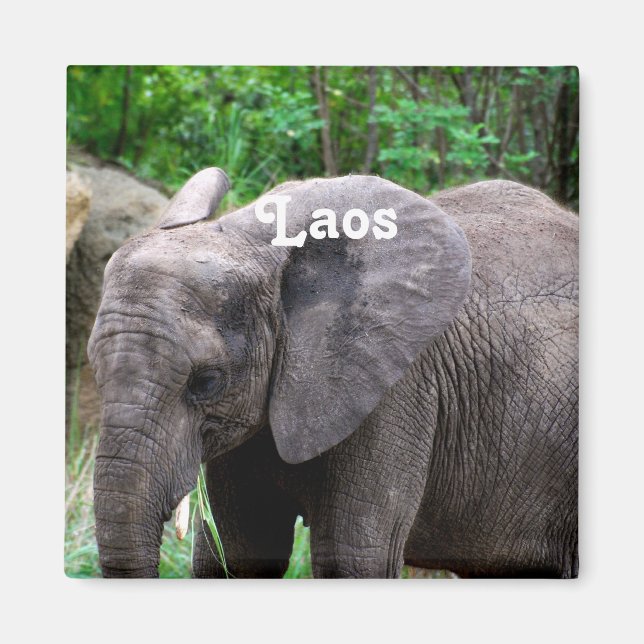 Laos Elephant Magnet (Vorne)