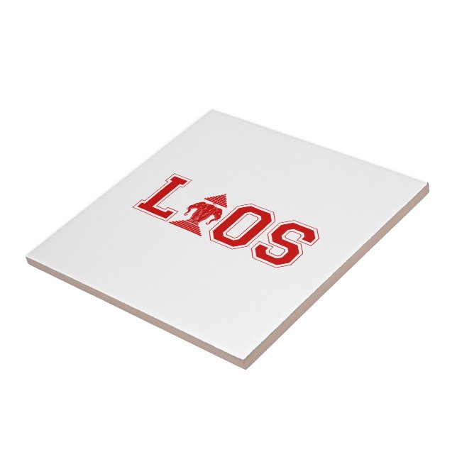 LAOS UNIVERSITY FLIESE (Seite)