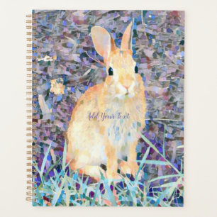 Lapin