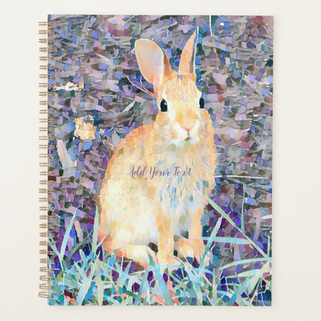 Lapin (Devant)