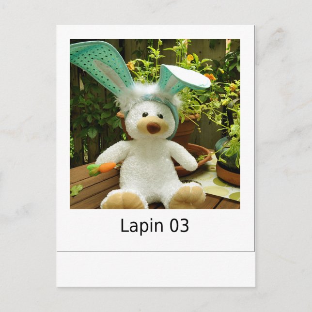 Lapin 03 postkarte (Vorderseite)