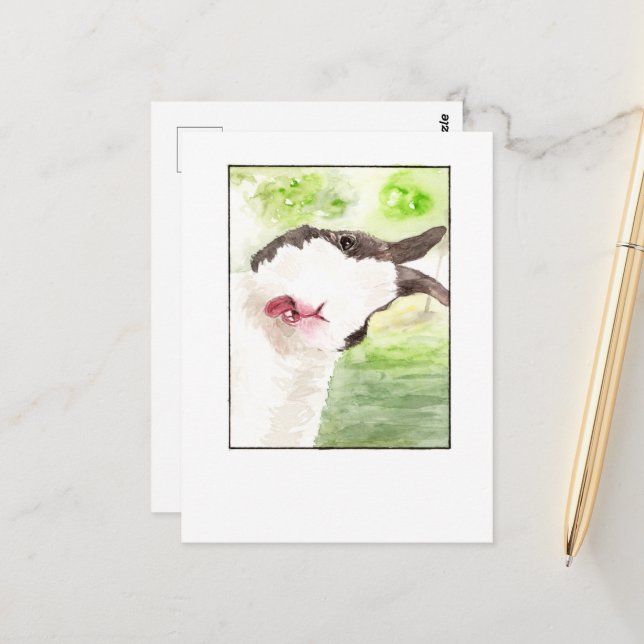Lapin Animalerie Selfie - Cartes Postales DNM (Devant/Arrière en situation)