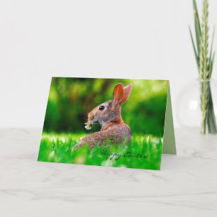 Lapin avec carte Pâques Fleur