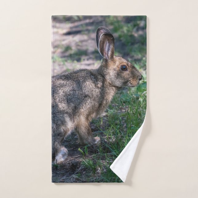 Lapin Brown, Repos dans la nature, Faune (Serviette à main)