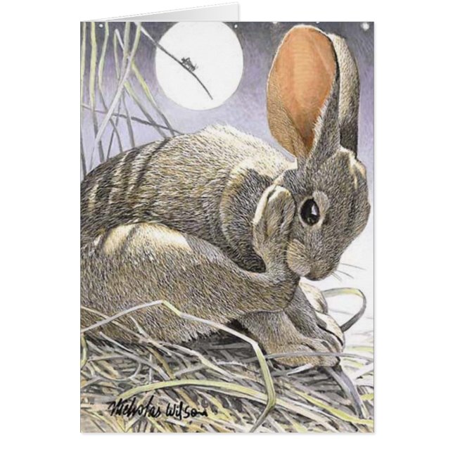 Lapin, cricket et lune "NUITS d'ÉTÉ " (Devant)
