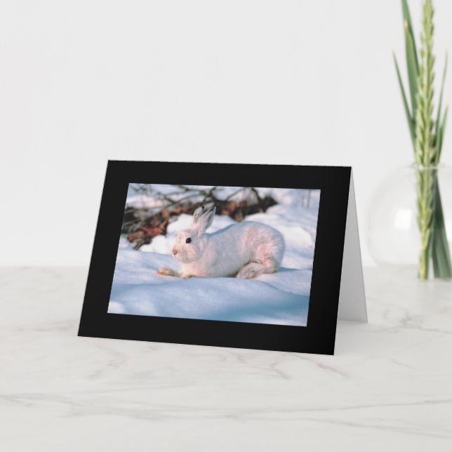 Lapin de blanc de carte de vacances de (Devant)