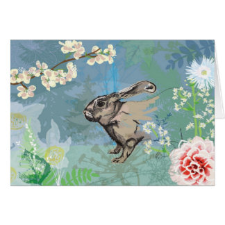 lapin de région boisée