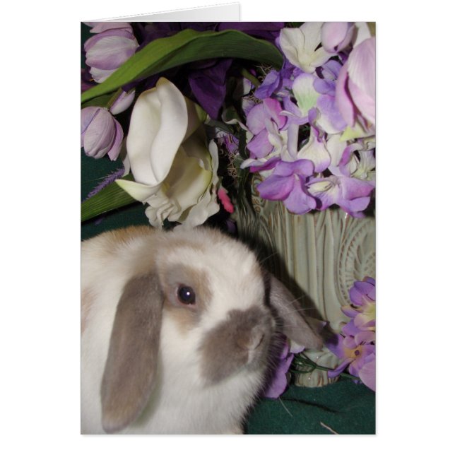 Lapin et fleurs 08 (Devant)