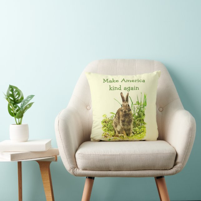 Lapin Lapin Rendre l'Amérique Coussin (Chaise)