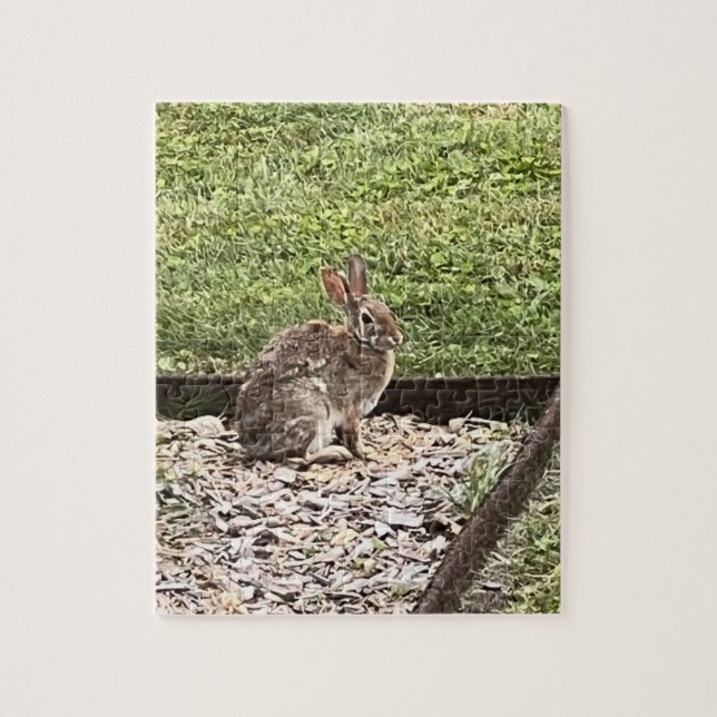 Lapin lapin sauvage assis sur le chemin puzzles (Vertical)