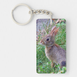 Lapin mignon de lapin