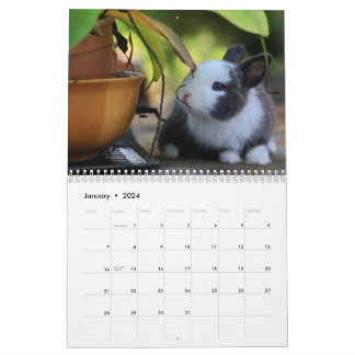 Lapins de lapin doux 2024 Calendrier