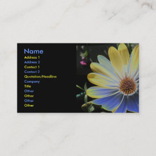 Lapis Daisy africain et Carte de visite Gold Custo