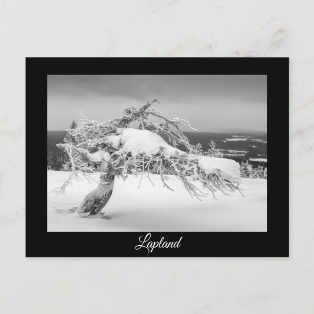 Lappland Wintersouvenir Postcard Postkarte (Vorderseite)