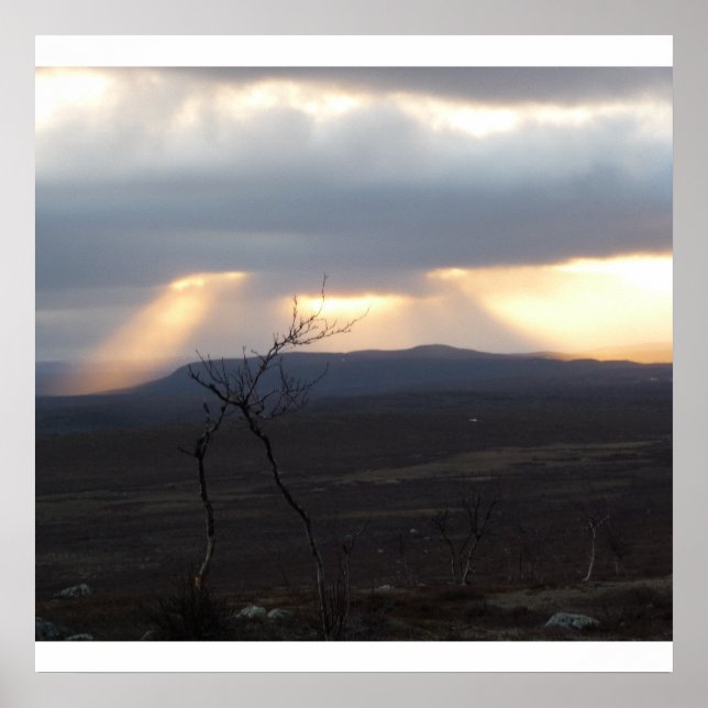 Lapplandwild Poster (Vorne)