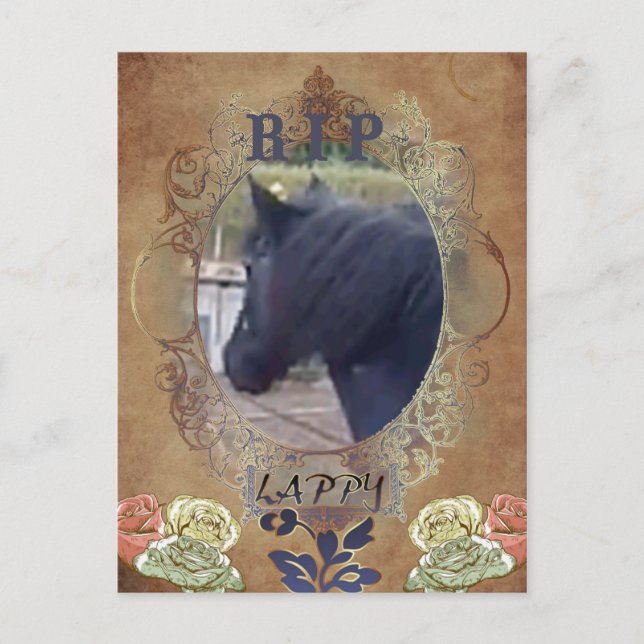 LAPPY R.I.P - Carte postale (Devant)