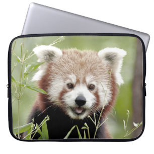 Laptop-Ärmel Foto rot Panda , Tiere. Laptopschutzhülle