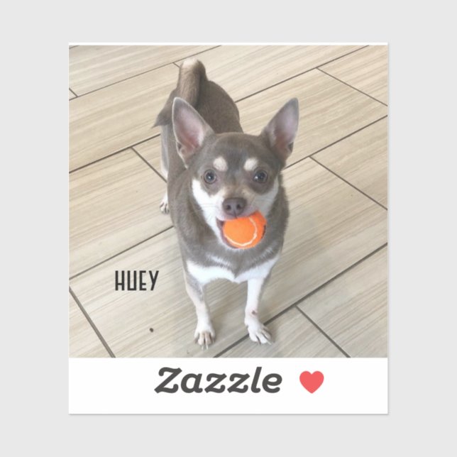 Laptop Huey Aufkleber (Blatt)