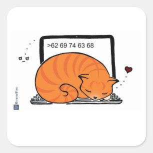 Laptop-Katzen-Bett (orange Tabby) Quadratischer Aufkleber