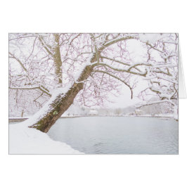 l'arbre couvert par neige embrasse l'étang