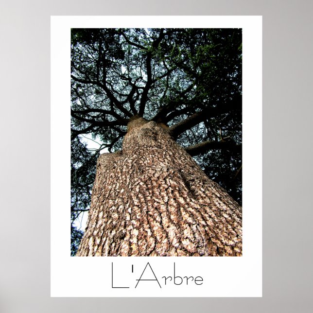 L'Arbre Poster (Vorne)