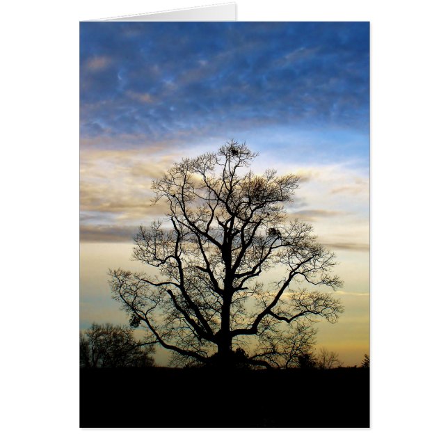 L'arbre universel (Devant)