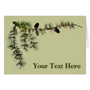 Larch Branch